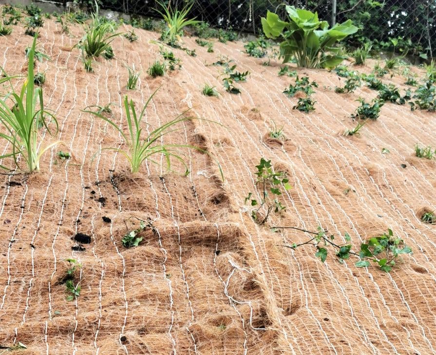 Erosionsschutzmatte zur Hangbefestigung